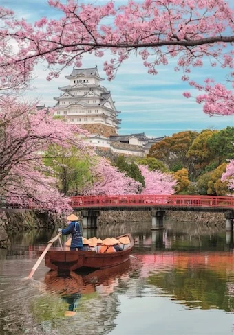 Himeji Castle in Spring