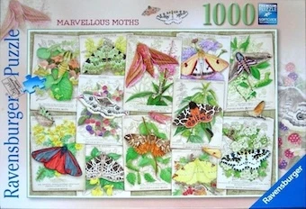 Marevellous Moths
